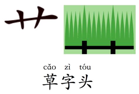 草字頭羽